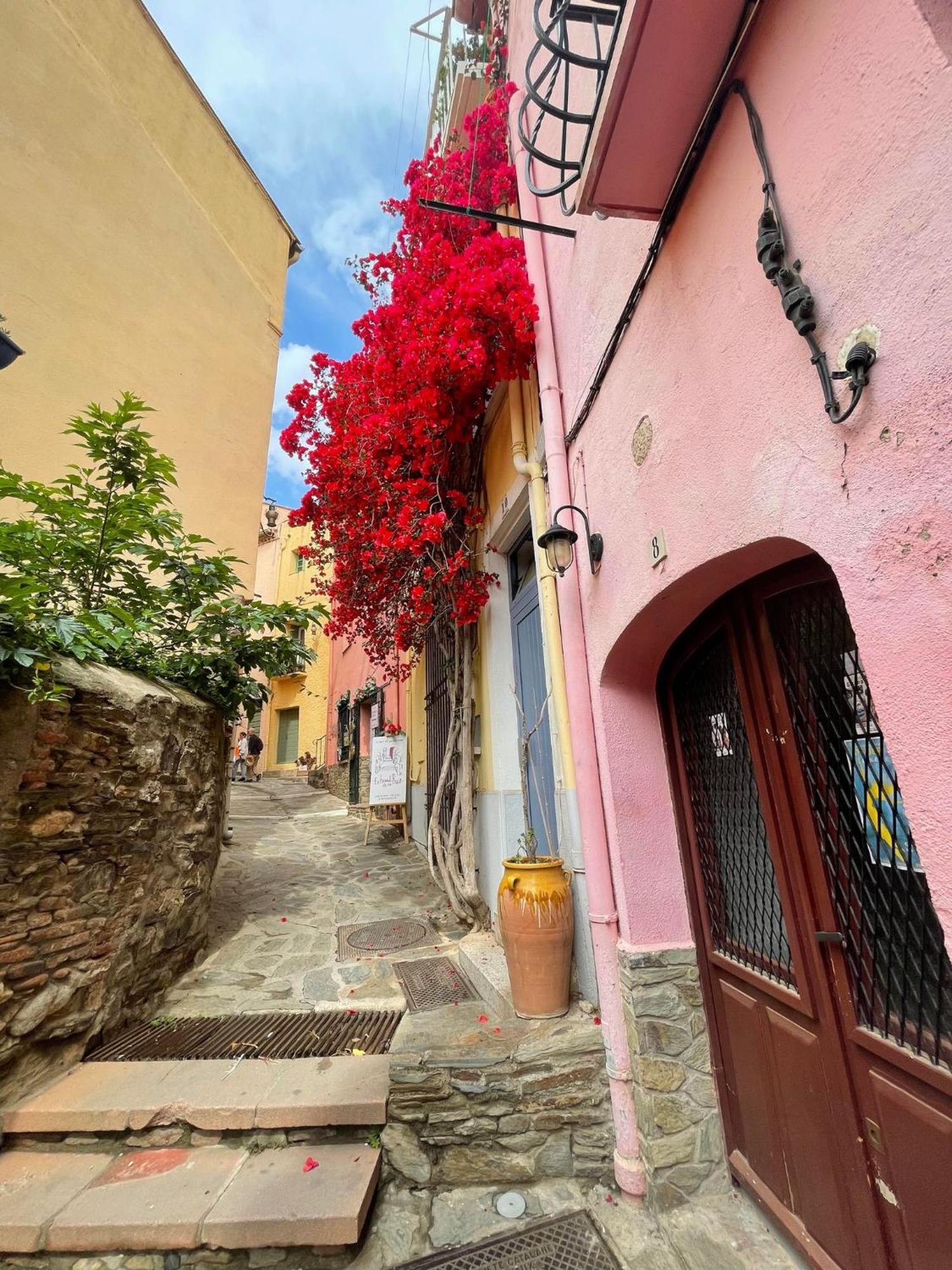 6Bat3 Appartement Vue Mer Collioure Zewnętrze zdjęcie