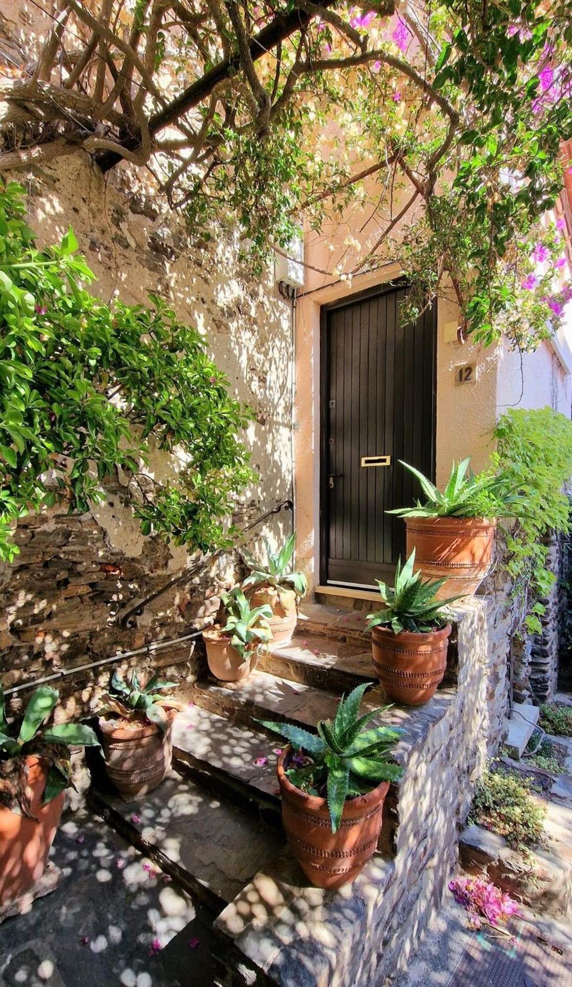 6Bat3 Appartement Vue Mer Collioure Zewnętrze zdjęcie