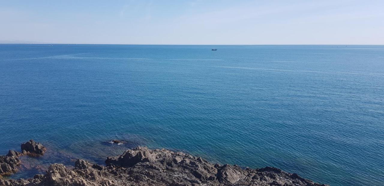6Bat3 Appartement Vue Mer Collioure Zewnętrze zdjęcie